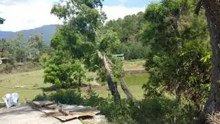 Benguet State University- Bokod Campus