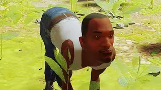 STRAY - CJ mod Carl Johnson