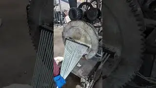 Inside the Action: Factory Machinery in Operation