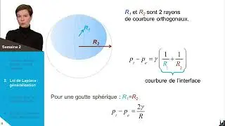PRESSION DANS LES GOUTTES ET LES BULLES  LA LOI DE LAPLACE