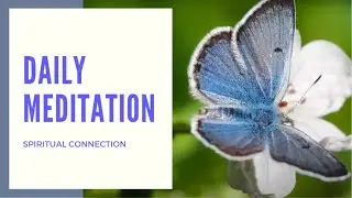 SPIRITUALITY AURA MEDITATION - Attract Positive Energy - Butterfly Signs - Love Light Sleep Music