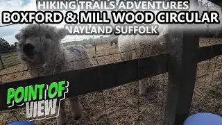 Boxford & Mill Wood Circular Hike, Suffolk: POV