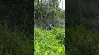 powergine 133 Borneo safari 2025 prologue SS Nabawan.