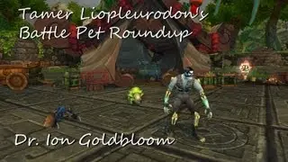 Dr. Ion Goldbloom - Celestial Tournament