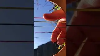 Tek It - CAFUN&Eacute; 【 Guitar Fingerstyle Cover | Shorts 】