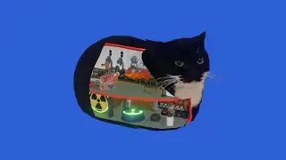 How a cat works
