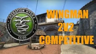 OPERATION HYDRA WINGMAN!!! #12