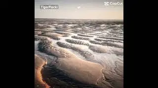 Sylt p4❤️ #sylt #nature #beach #germany #phonk #ediz #foryou #cool #music #coolmusic #island #travel