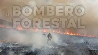 HOW to become a Wildland Firefighter? The hidden reality of the sector 🔥🌲