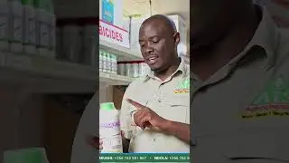 #73 - How to kill weeds in soya beans, groundnut and sunflower selectively