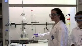 Lavender Steam Distillation