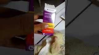 Salvando filhotinho  de calopsita com papo cheio de ar