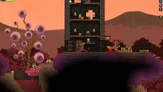 [Starbound guide] terrifying wings coordinates (rare) Offended koala