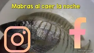Jornada entretenida con capturas 