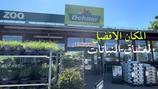 جولة في محل Dehner في فيينا: اكتشف مجموعة النباتات والديكورات الرائعة!