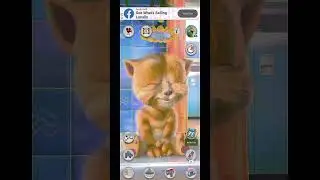 cat clapping 🐈😺🐕 #talkingtom #catton #motivational #caton #funny #dog #games #talking
