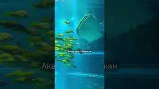 3 дня в Осаке &mdash; топ мест, которые ты должен увидеть!
