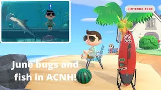 June Bugs and Fish in Animal Crossing New Horizons
