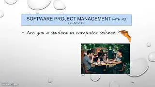 Software Project Management using MS Projects professional - learn Project Management