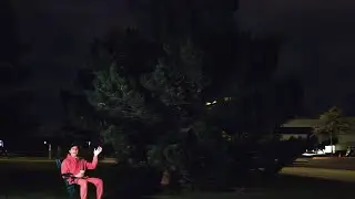 I'm quitting my PhD to make YouTube videos (ft. Gec Tree)