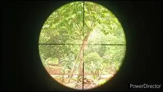 LONG RANGE 30 METERS LIGHTER TARGET 36 INCHES BARREL 8mm STEELBALL PERFECT TUNNED PARA SA BUTANE TYP