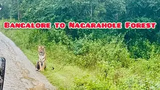 Bangalore to Kabini and Nagarahole National Park in EV car (Electric Vehicle)- EP - 1