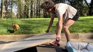 Blooper: In search of poo - Mr B during a vdo shoot of Miss Moonshine