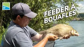 P&Ecirc;CHE DE BR&Ecirc;ME AU FEEDER &Agrave; BOUAFLES | Mat&eacute;riel, amorce et strat&eacute;gies de p&ecirc;che