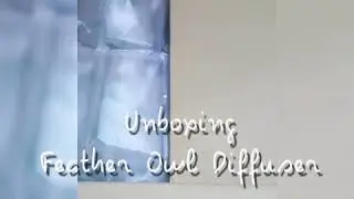 Unboxing Feather Owl Diffuser🦉🦉