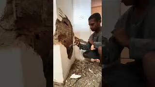 A situa&ccedil;&atilde;o do reboco