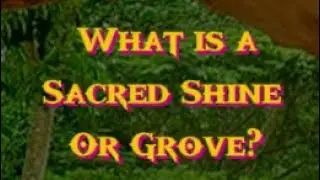 What is a shrine or grove? What makes it sacred? What makes one profane? 