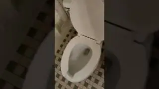 Super powerful toilet flush at my hotel room