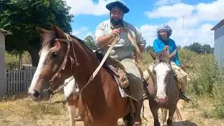DE CHUCARO A DOMADO ( LLEGA UNA NUEVA POTRA AL CENTR&Oacute; DE DOMA ) 