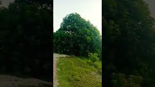 Support Pakistani Hindus 🙏 Subscribe to Our Channel
