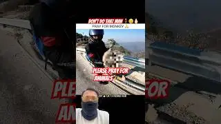 Animals lover&rsquo;s🙃🫰🏻 #automobile #bikeride #rider #ktm #funk #stunt #avee_player #viral #shorts #yt
