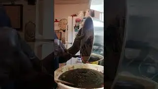 Making Jamaican Rum Cake 