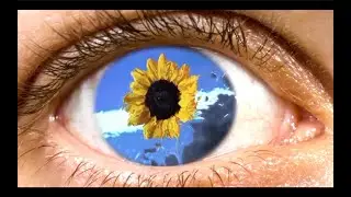 MOOD ROBOT - Laughter in the Dark feat. KylEast [OFFICIAL VIDEO]