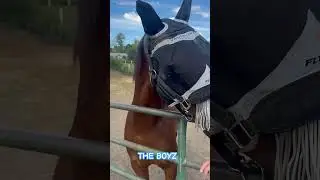 HUSBAND & HORSES #husband #horse #husbandwife