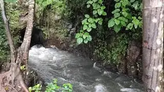 Ulupunni Tunnel Vagomon