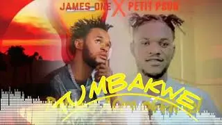 Baluba Afro-_-TUMBAKWE __-(mp4_--visualiser )2025