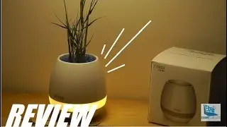 ОБЗОР: Умный цветочный горшок &mdash; Bluetooth-динамик, лампа настроения?