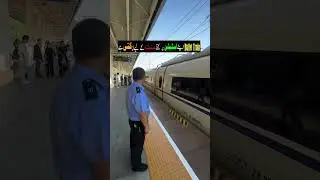 Bullet Train Stop #stop #train #bullet #shortvideo #video @CWD-mussabmalik