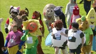 The Mascot Gold Cup 2017