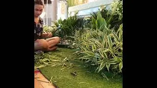 Burial flower arrangement MAR'S Funeral Service #burialflowers  #sympathyflowers #funeralarrangement