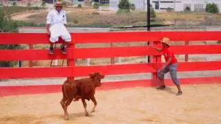 How to Baby Bull Run!