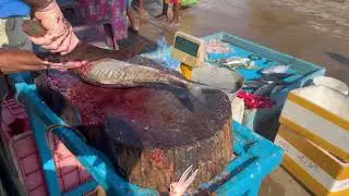 Fish Cutting | Fish Cutting Skills Sri Lanka