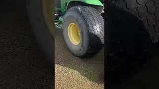 Overseeding a Cricket Square during Renovations #cricketpitch #groundsman #turf #grassseed