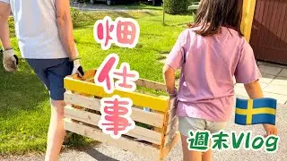 畑仕事/スウェーデン北部在住の食糧確保