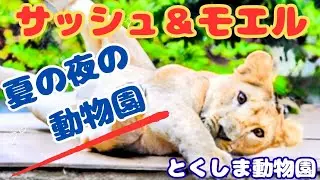【とくしま動物園】リクとアマレットに見せてあげたい孫娘モエル&サッシュ