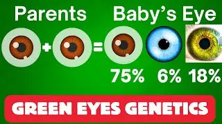 Scientists Reveal The Fascinating Genetic Origins of Green Eyes